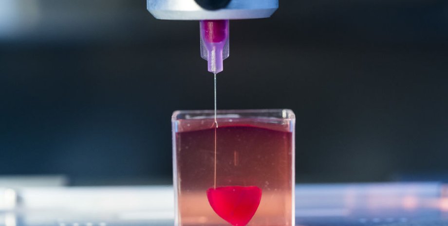 Фото: Getty Images