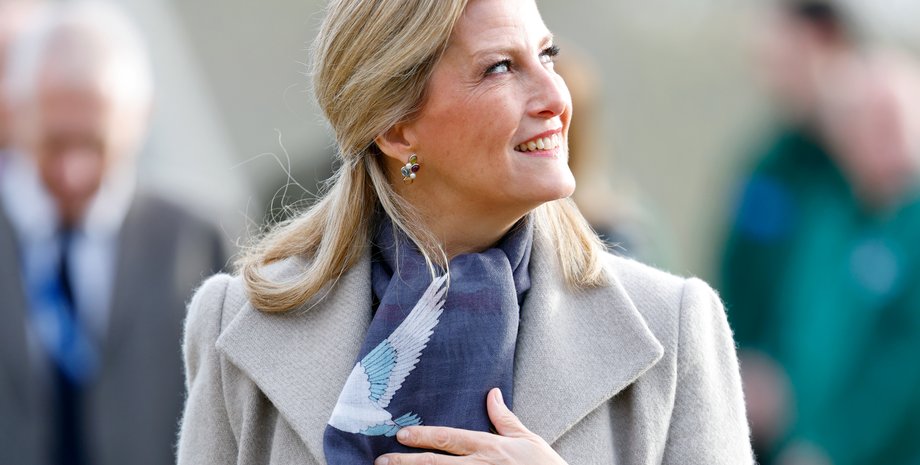 Софі Вессекська, Софі Вессекська стиль, Софі Вессекська конфуз, улюблена невістка королеви єлизавети ІІ