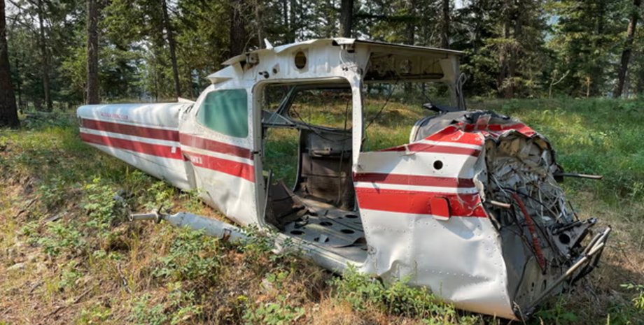 Тайна крушения самолета, загадочная авиакатастрофа, обломки самолета, разбитый самолет, самолет в лесу,