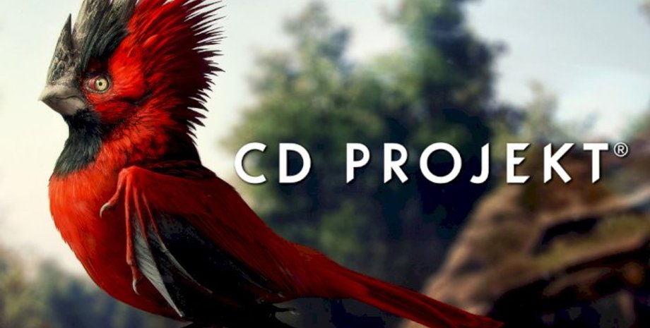 Розробник, Польща, продажі, Росія, Білорусь