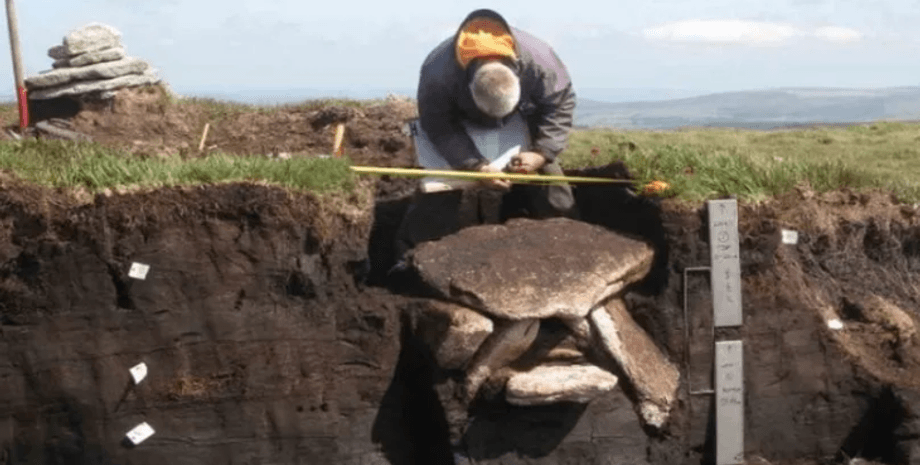 поховання, розкопки, археологи, археологія, бронзова доба, Англія, циста, дослідження, камера, торф, знахідка, артефакти