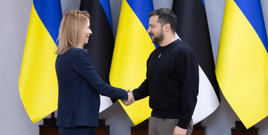 Кая Каллас, Владимир Зеленский, фото