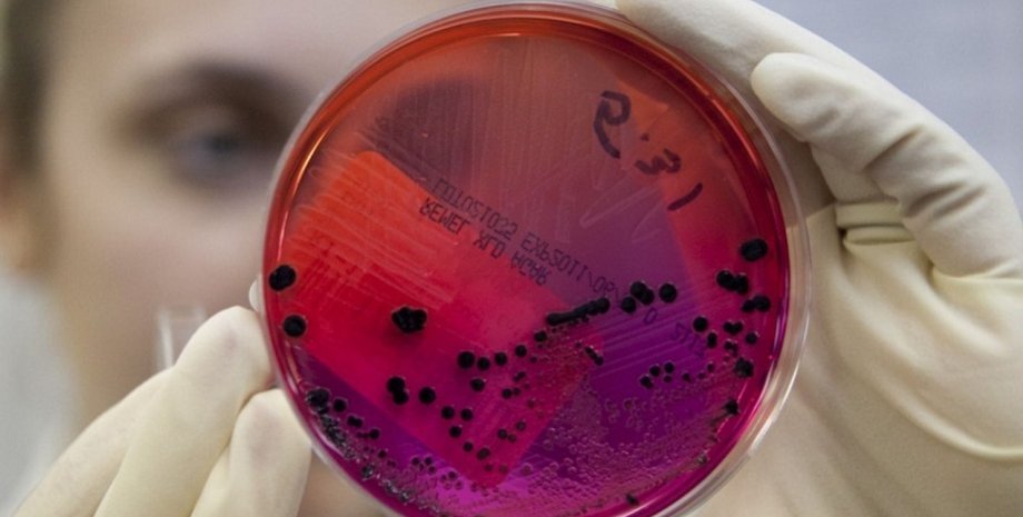 Фото: likar.info