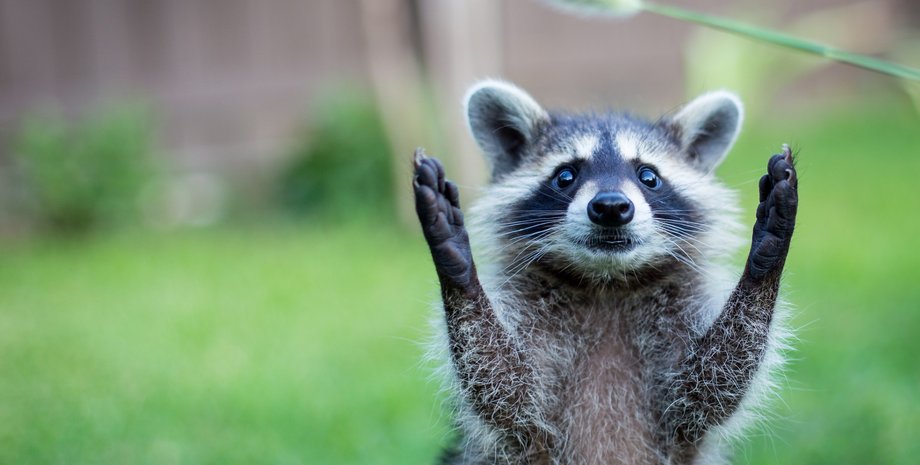 Фото: sitearts.ru