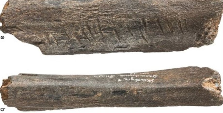 неандертальці, печера, Польща, кістка, ведмідь, культура, символ, значення, лінія, Європа, артефакт, подряпина, дослідження, позначки, мистецтво, тварина