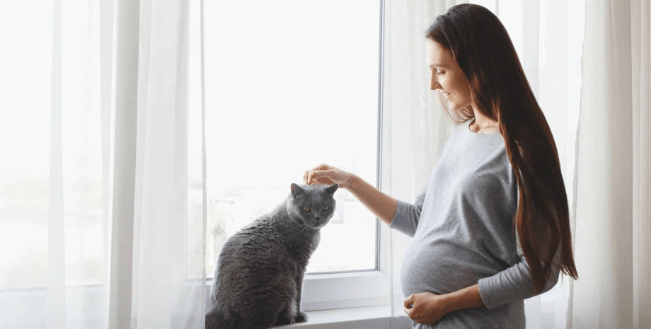 Вагітна жінка прокинулася через кішок на животі Вагітна жінка прокинулася через кішок на животі, які намагалися поговорити з малюком