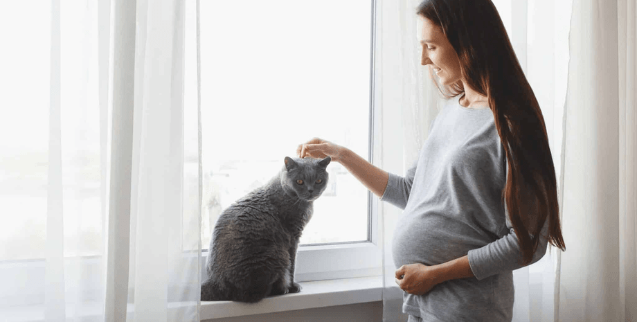 Вагітна жінка прокинулася через кішок на животі, які намагалися поговорити з малюком