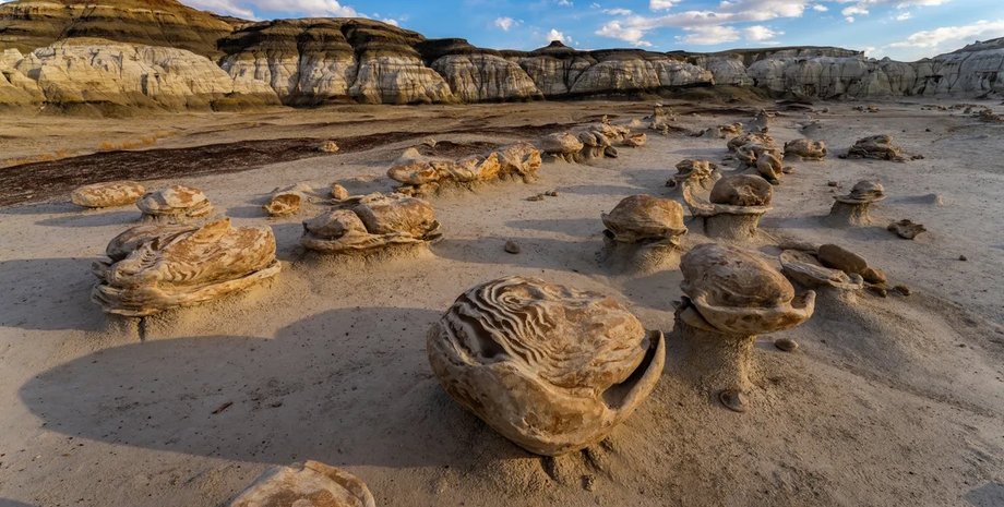інопланетні яйця розплідник інопланетних яєць