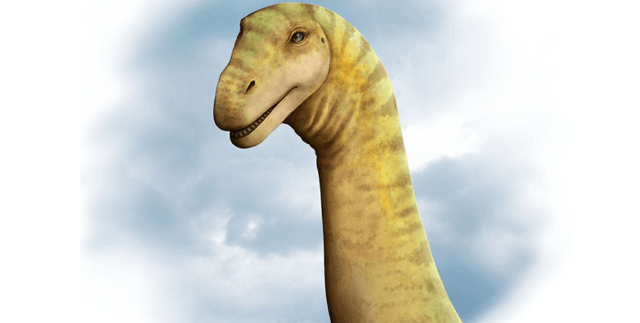 дослідження, палеонтологія, останки, динозаври, завроподи, череп, знахідка, древні тварини