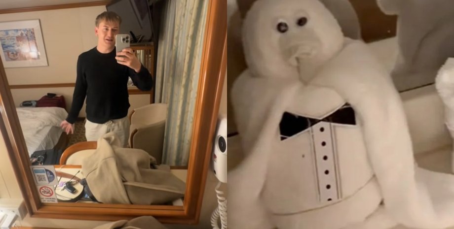 Мужчина узнал правду об полотенечных фигурках для украшения кают, которые используют на круизных лайнерах