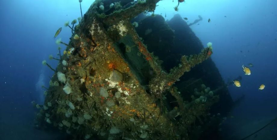 Исследователь нашел 250 затонувших кораблей вблизи Португалии, на борту хранятся сокровища, золото и серебро