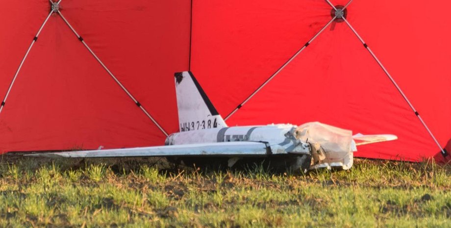 дрон гербера дрон Гербера ЗС РФ