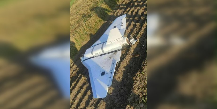 Дрон Гербера в Мнішкуві