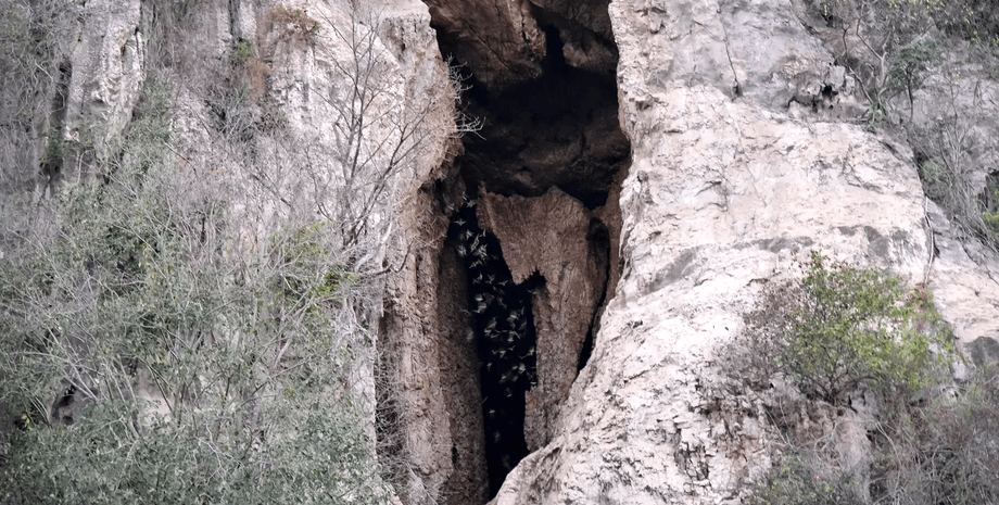 Чоловік провів у печері 4 дні, темна печера, холодна печера, рятувальники врятували фермера, фермер у печері, застряг у ущелині