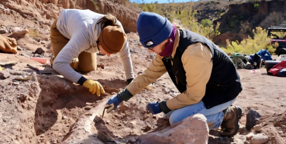 мамонт бивень