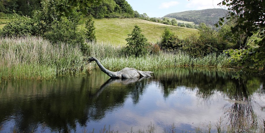 Фото пользователя GregMontani на Pixabay