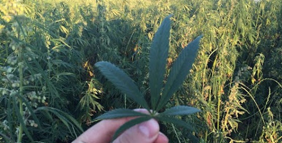 Фото: ssu.gov.ua