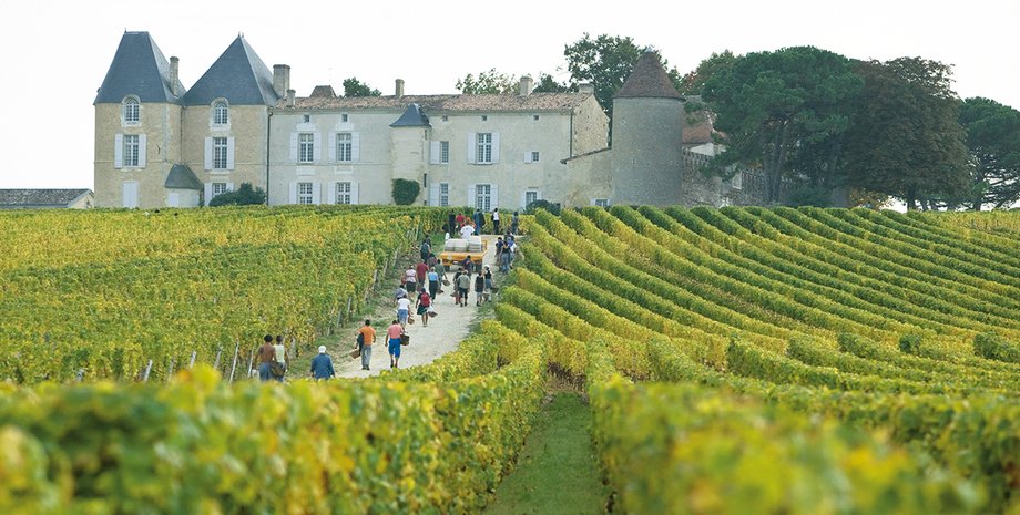 Фото: Getty Images