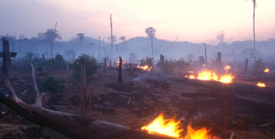 жара, засуха, пожары