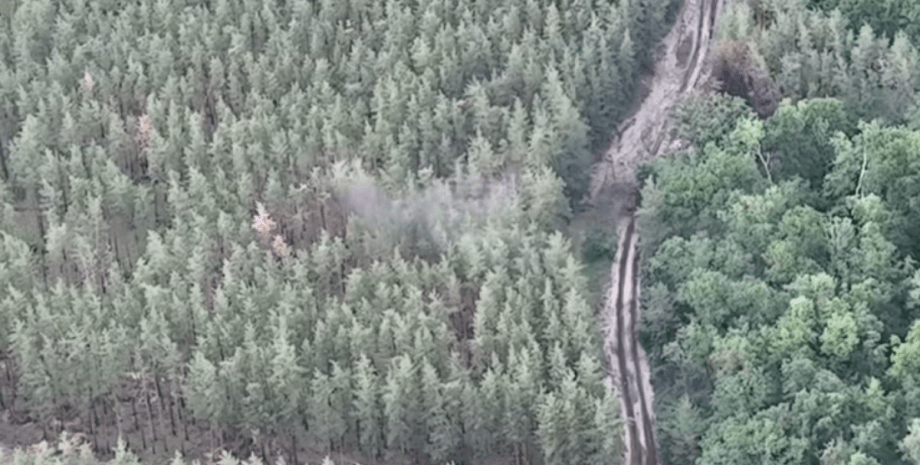 бтр рф бтр россиян