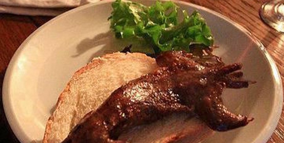 соневые, грызуны, мыши