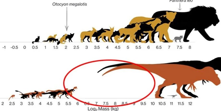 динозавры, виды динозавров