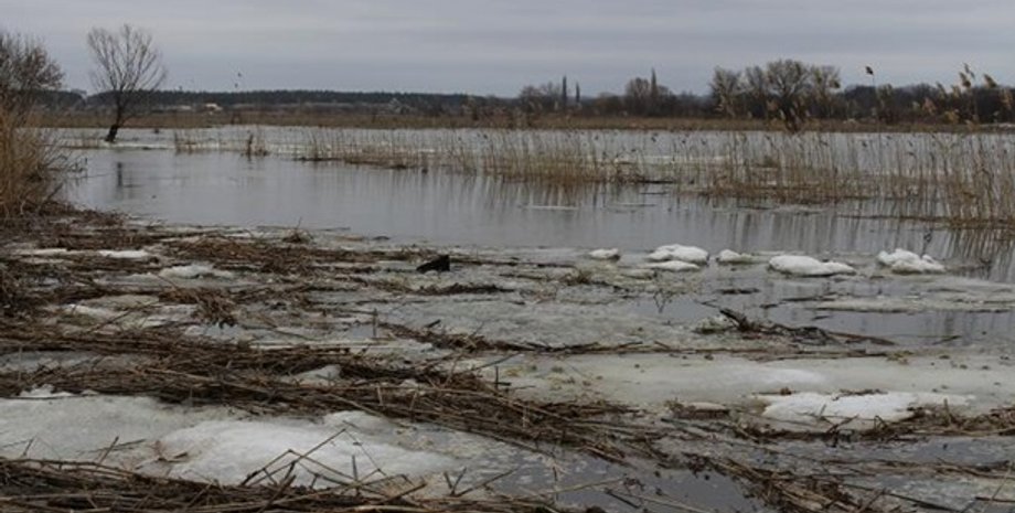 Фото: loga.gov.ua