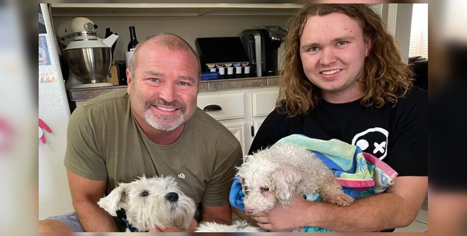 Собака повернувся додому через 12 років, собака повернувся додому, знайшли через 12 років, мікрочіп, знайшли господаря собаки,