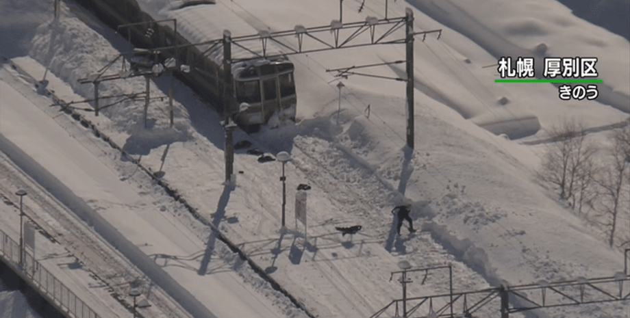 Япония, поезда, снегопад, сообщение, расчистка