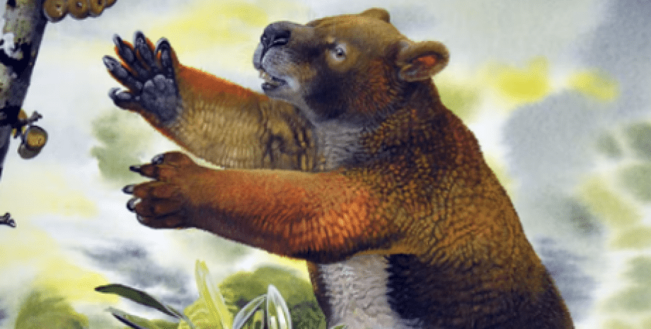 найбільші сумчасті австралії викопні скелети, вимерлі тварини, спосіб життя, навколишнє середовище, аналіз, викопні кістки, ріст, розвиток, сумчасті, Німбадон, зона Світової спадщини Ріверслі, деревні ссавці