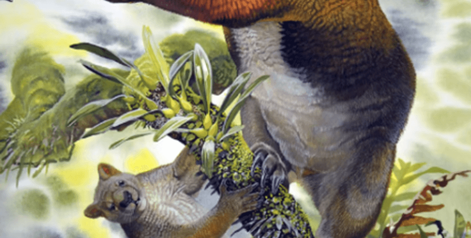 викопні скелети, вимерлі тварини, спосіб життя, навколишнє середовище, аналіз, викопні кістки, ріст, розвиток, сумчасті, Німбадон, зона Світової спадщини Ріверслі, деревні ссавці