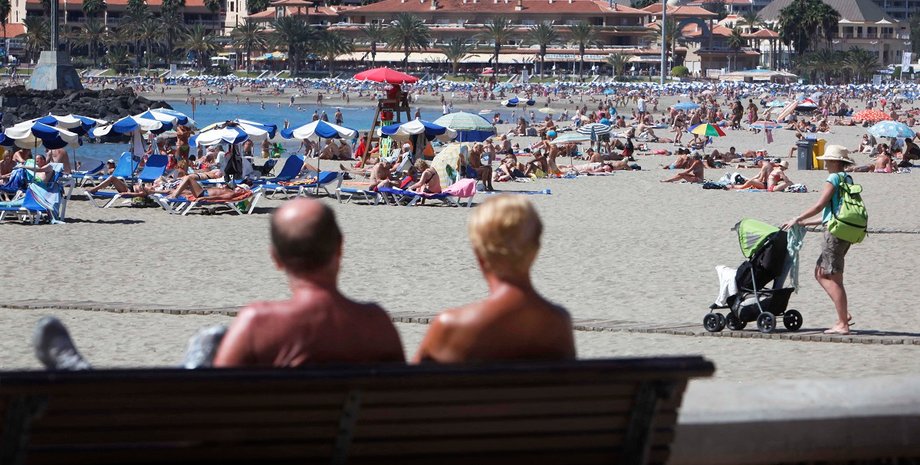 Электрический муравей, насекомое, огненный муравей, лос-кристианос, туристы