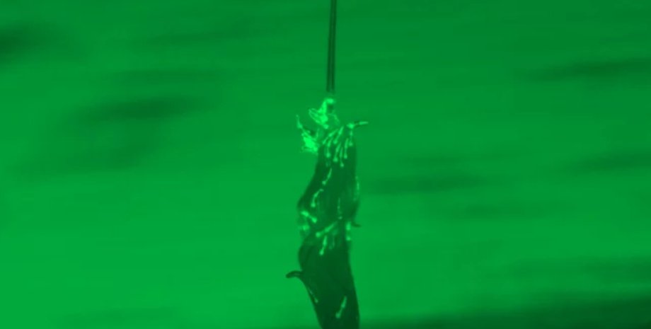 нематоди поведінка