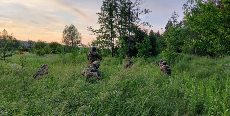 Русский добровольческий корпус, РДК, РДК Россия