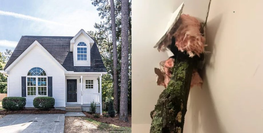 Дерево пробило дах, будинок, торнадо, сильний вітер, дерево закинуло на дах, дерево в будинку, дерево впало на дах, вітер вирвав дерево