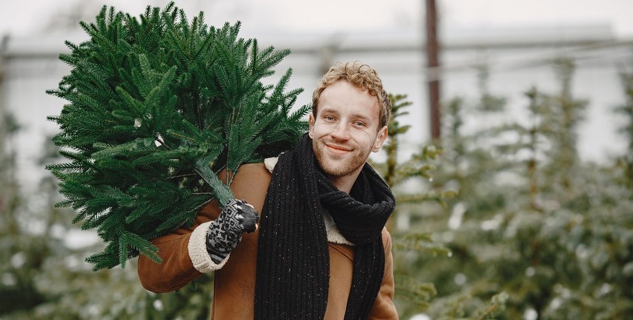 Як зберегти ялину довше — лайфхак