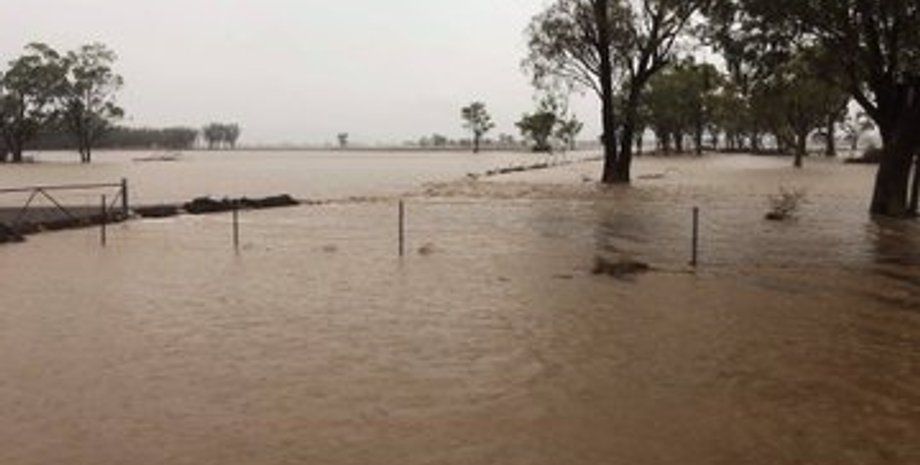 Фото: Twitter/DaleDrinkwater