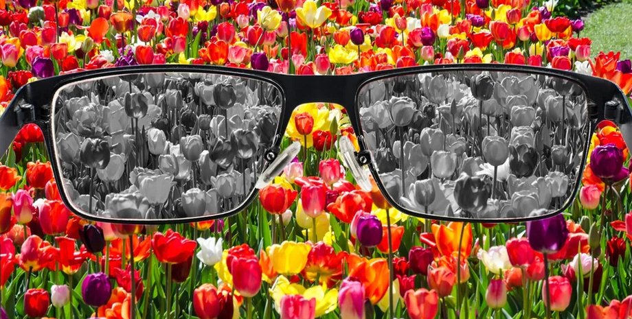 дальтонизм, цвет, дальтоник, псилоцибы, псилоцибин