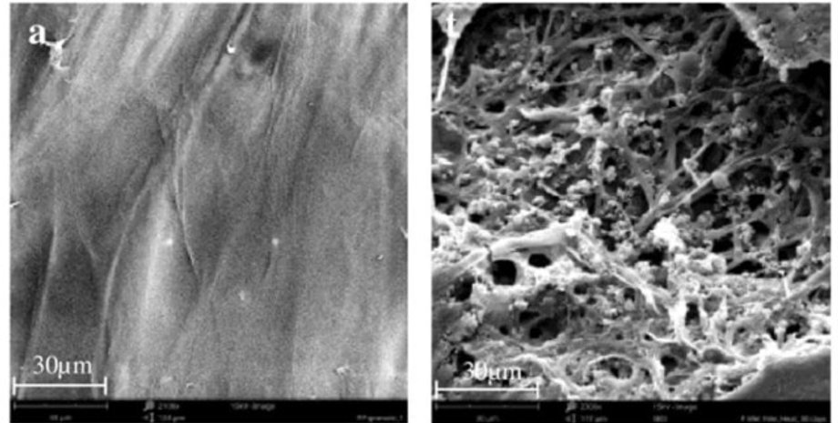 пластик, переработка пластика