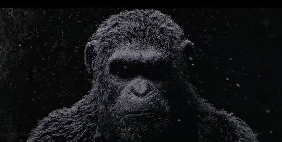 Скриншот видео