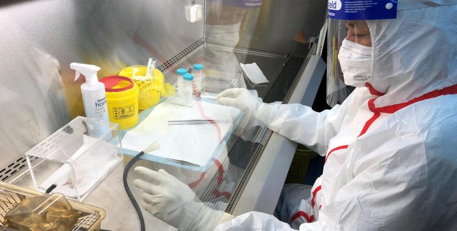 Коронавірус лабораторія дослідження COVID-19 походження США біолабораторії