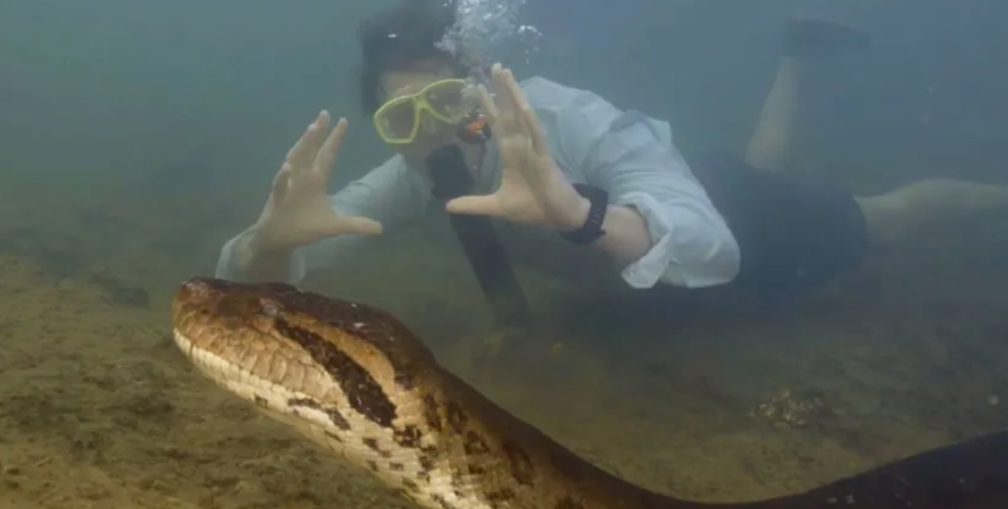 Найбільша в світі змія, Амазонка, вчені, дослідження, наукові відкриття, відео, експедиції, сенсація