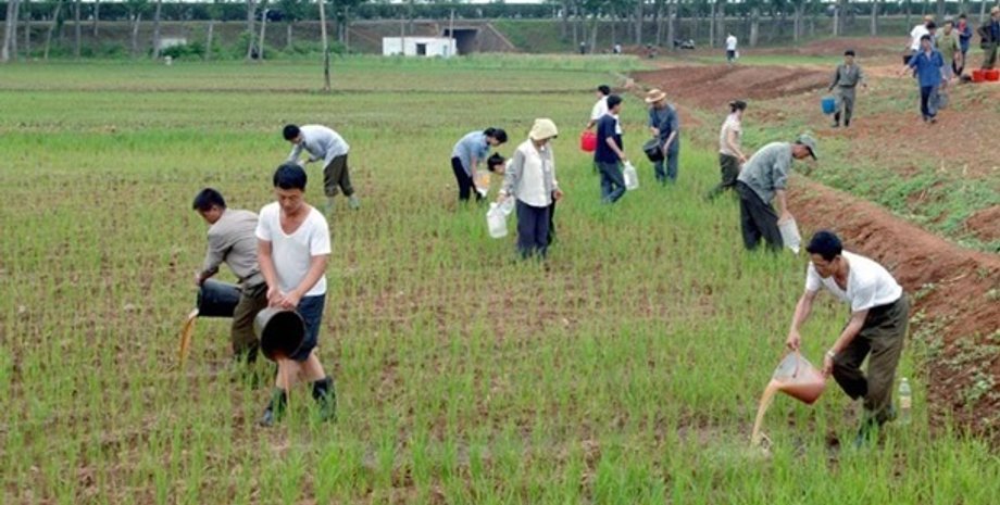 Фото: hanber.livejournal.com