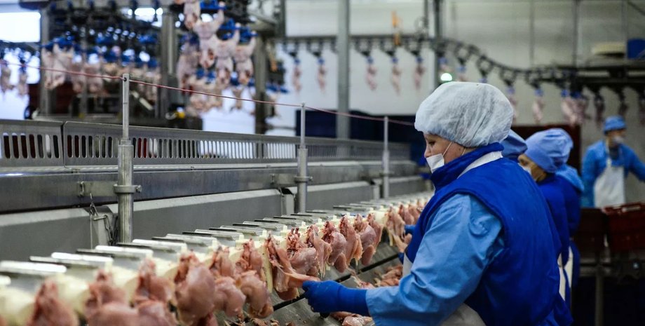 курятина, дефицит мяса, россия дефицит, россия дефицит продуктов