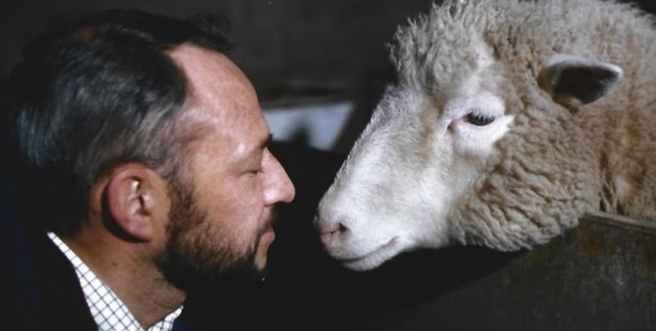 овечка Доллі, генна інженерія, клонування, ДНК