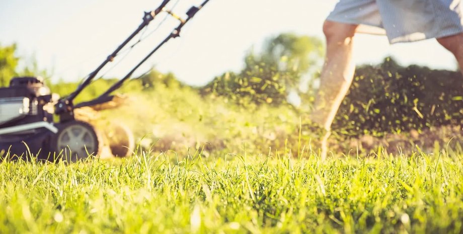 газон, стрижка газона, газонакосилка