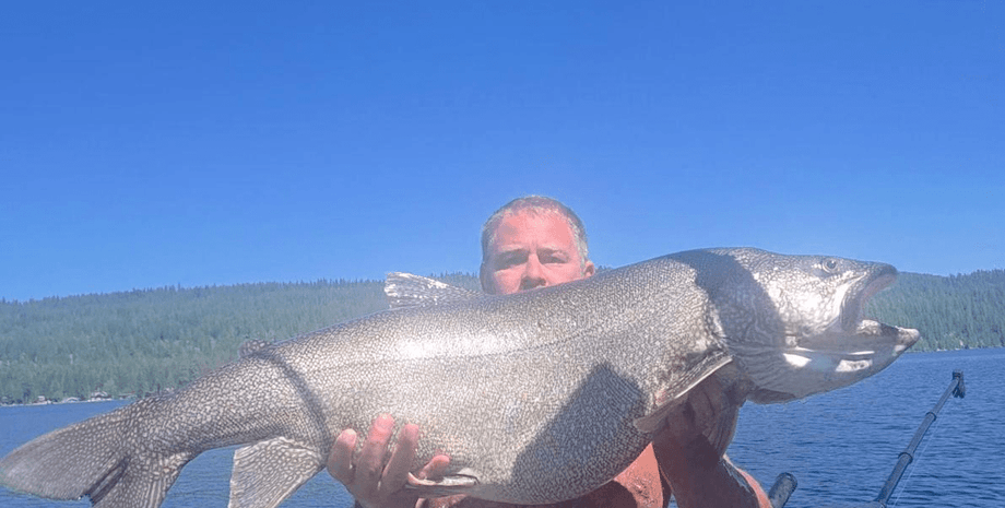 В США мужчина поймал в озере огромную форель и установил новый рекорд штата