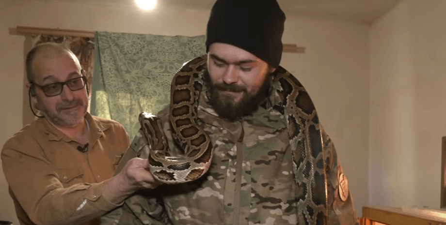 питон, купянск питон, 3-метровый питон