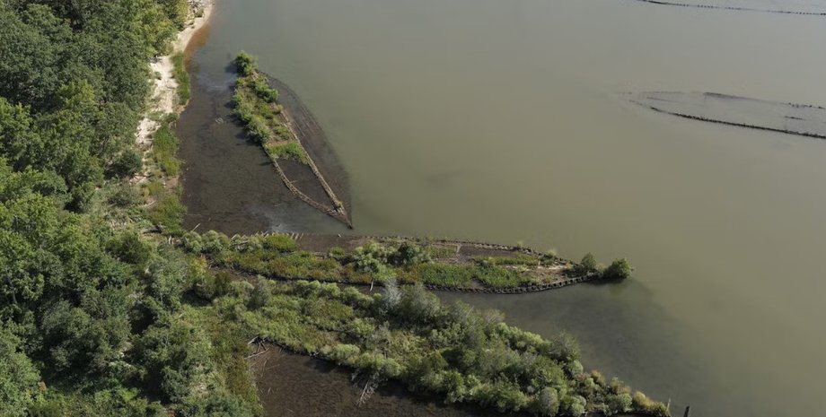 Вчені фіксують процвітання морських істот