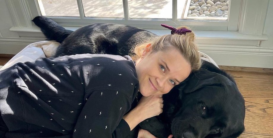 собаки звезд, животные знаменитостей, Риз Уизерспун, Дженнифер Лопес, Хью Джекман, Дженнифер Гарнер, Люси Хейл